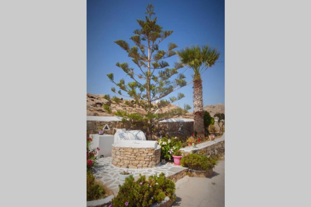 White Dreams Studio Mykonos Town Exterior photo
